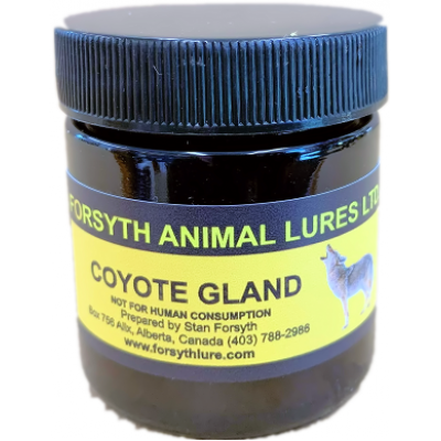 Leurre Coyote Gland Forsyth 50 ml